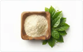 Bowl of gymnema sylvestre powder